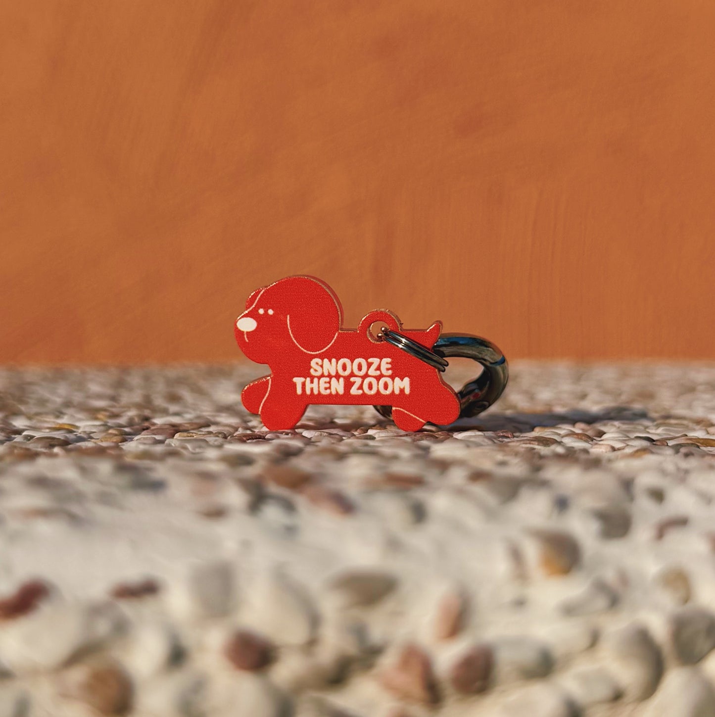 [OUTPLAY x HELLOSOLLE] Snooze Then Zoom Pet Charm