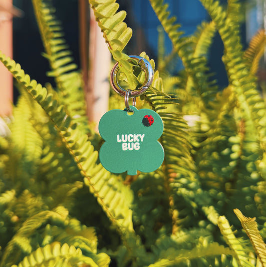 [OUTPLAY x HELLOSOLLE] Lucky Bug Pet Charm